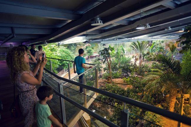 Todosierranevada Zona Baja - Edificio Alhambra - Junto A Los Telecabinas Сьерра-Невада Экстерьер фото